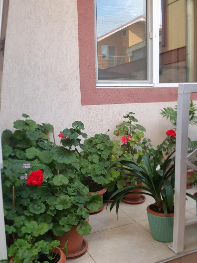 Vila Liz Eforie Nord Hotel Kültér fotó