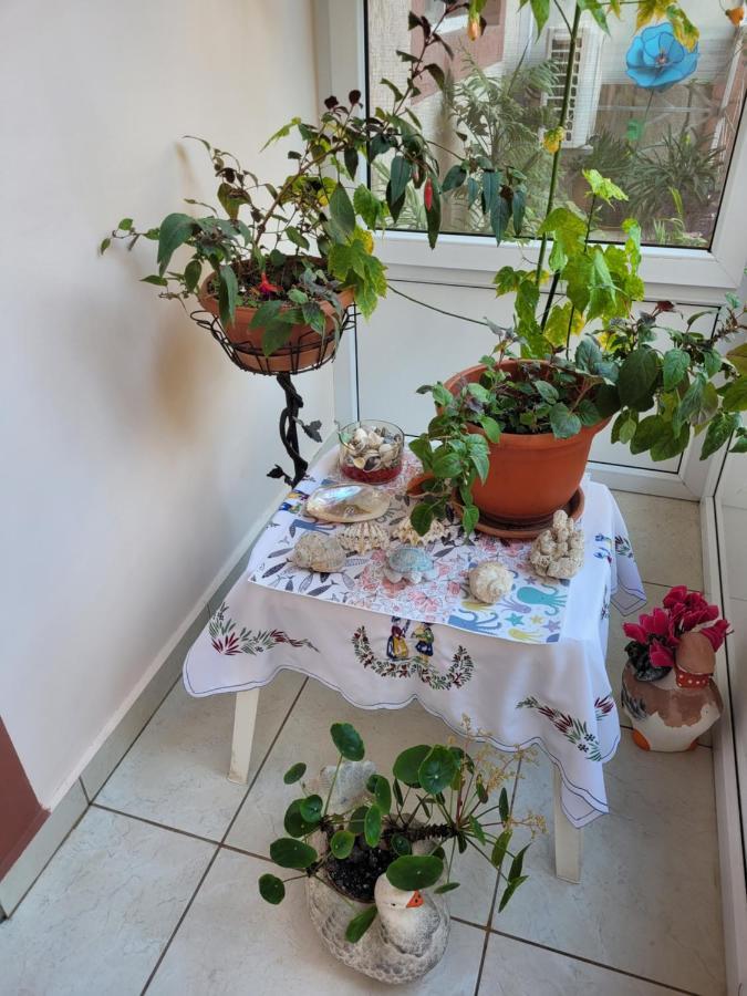 Vila Liz Eforie Nord Hotel Kültér fotó